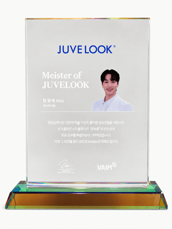 Meister of JuveLook appointment plaque, VAIM